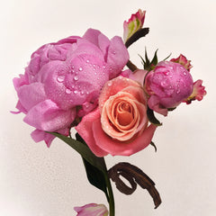 Lotion and Mist Duo - Petal Duo Modern Keepsake