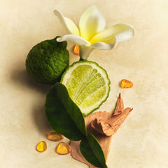 Hair & Body Mist - Full Muse Modern Keepsake