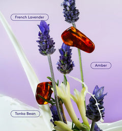 Skin Replenishing Body Wash - Lavender Latte Modern Keepsake